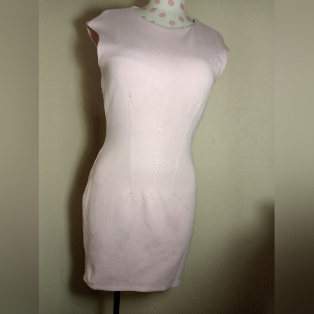 Zara Soft Pink Garment